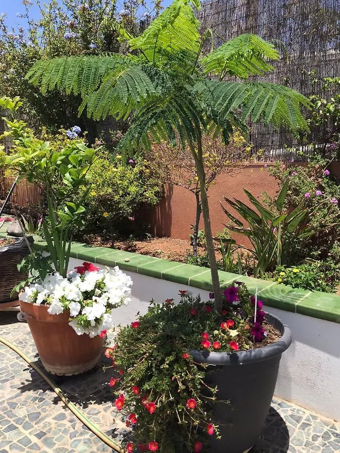Apartamento Con Encanto En La Playa Frente Al Mar 