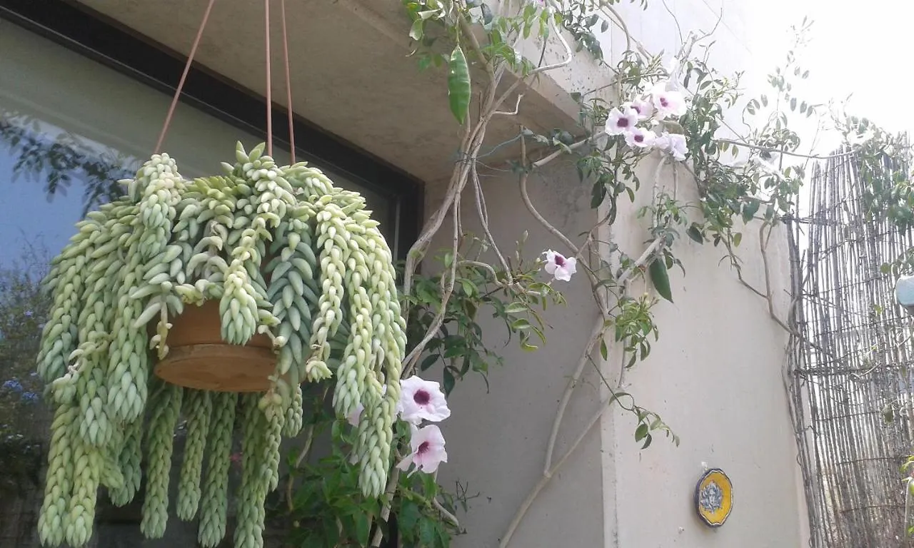Apartamento Con Encanto En La Playa Frente Al Mar 
